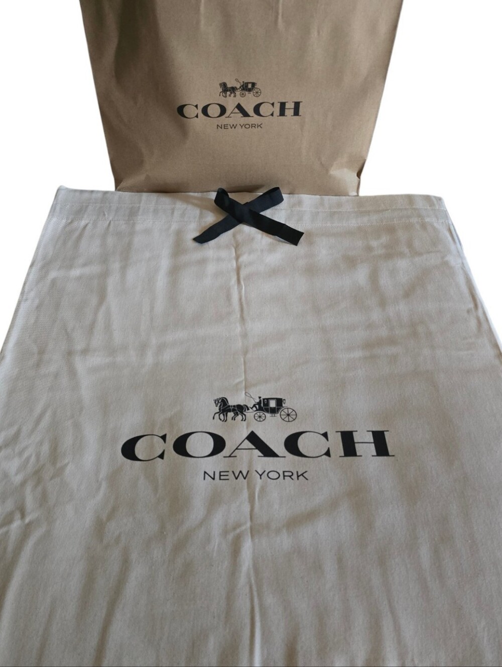 🛍️ COACH XXL Dust Bag